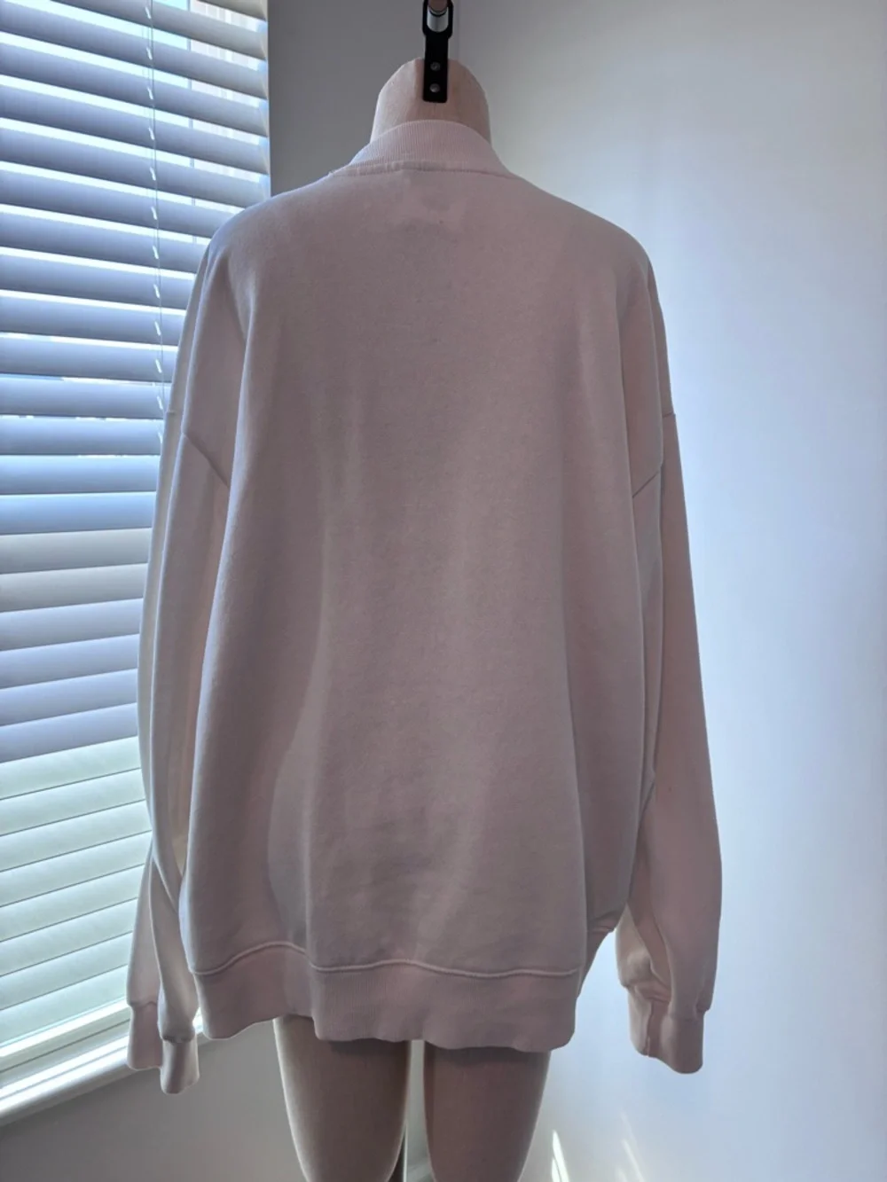NWT The North Face Ivory Evolution Mock Neck Embroidered Sweatshirt